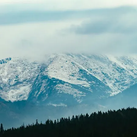Dziadkowka シャレー Gliczarów